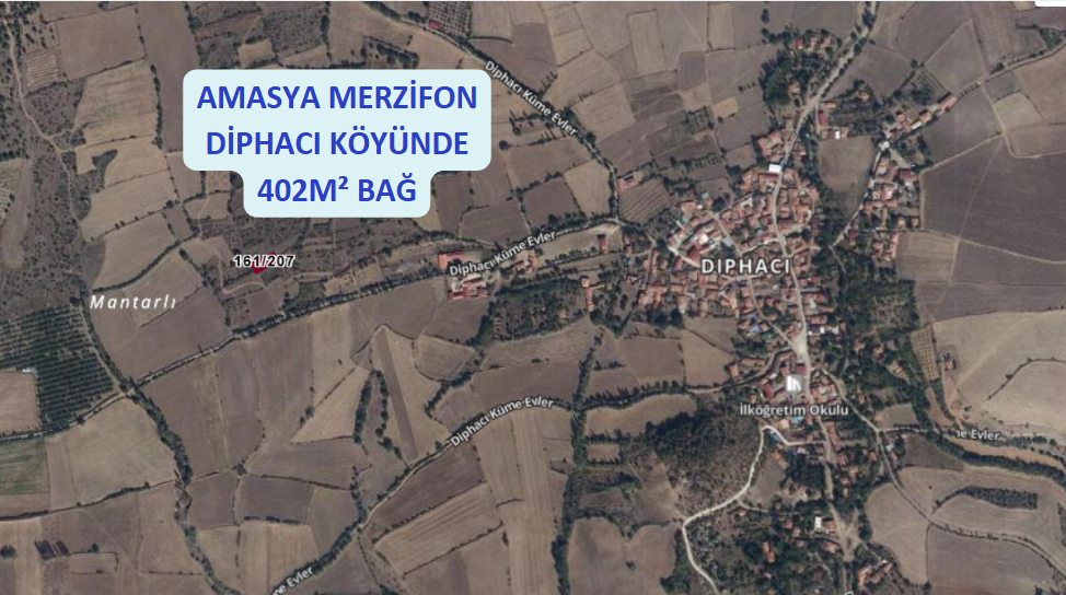 Fotoğraf